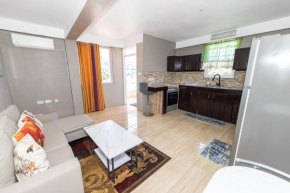 Roseau Canefield Apartment with Full Kitchen Air Conditioning and Wi-Fi Close to town